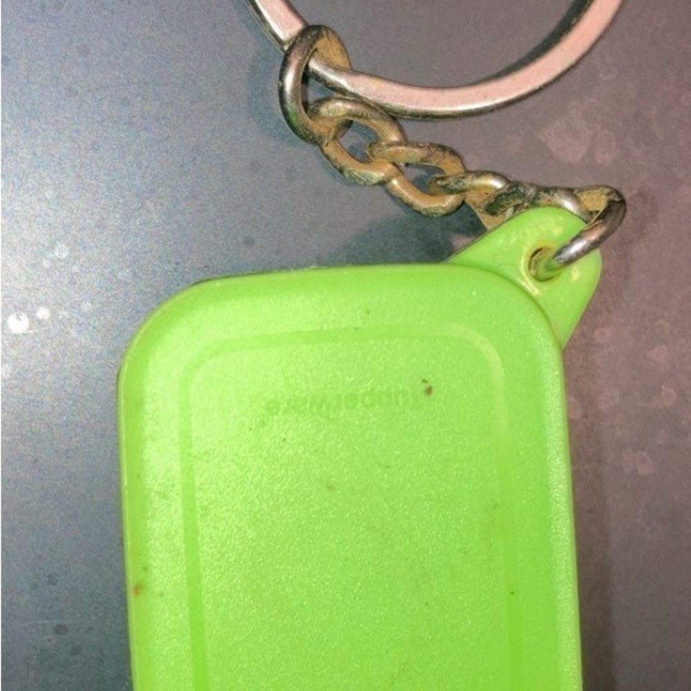 Tupperware Lunch Box Keychain/Key Fob